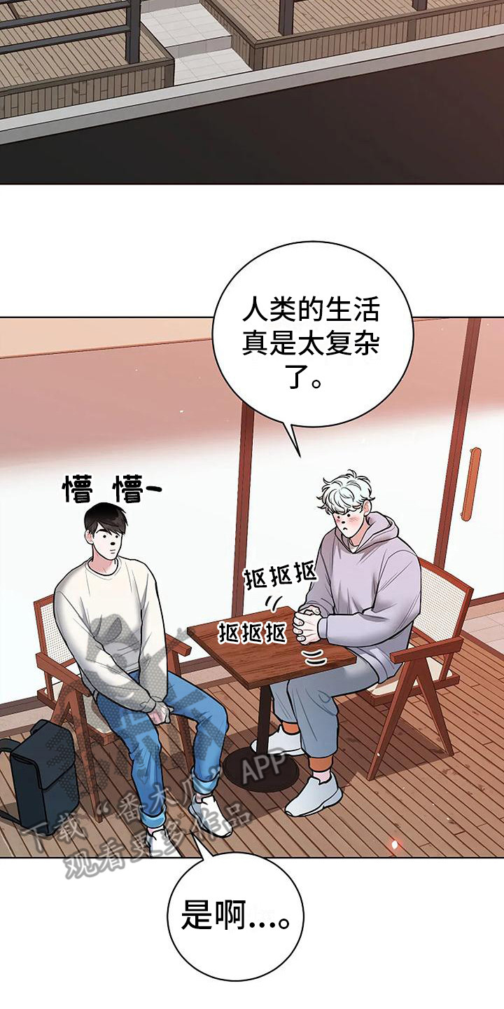 《牛奶和奶油》漫画最新章节第21章：再次见面免费下拉式在线观看章节第【4】张图片