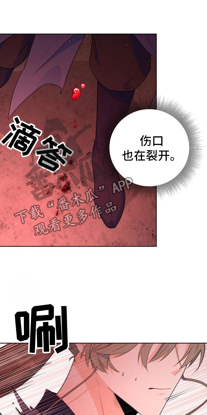 《花火梦》漫画最新章节第14章：要结束了免费下拉式在线观看章节第【20】张图片