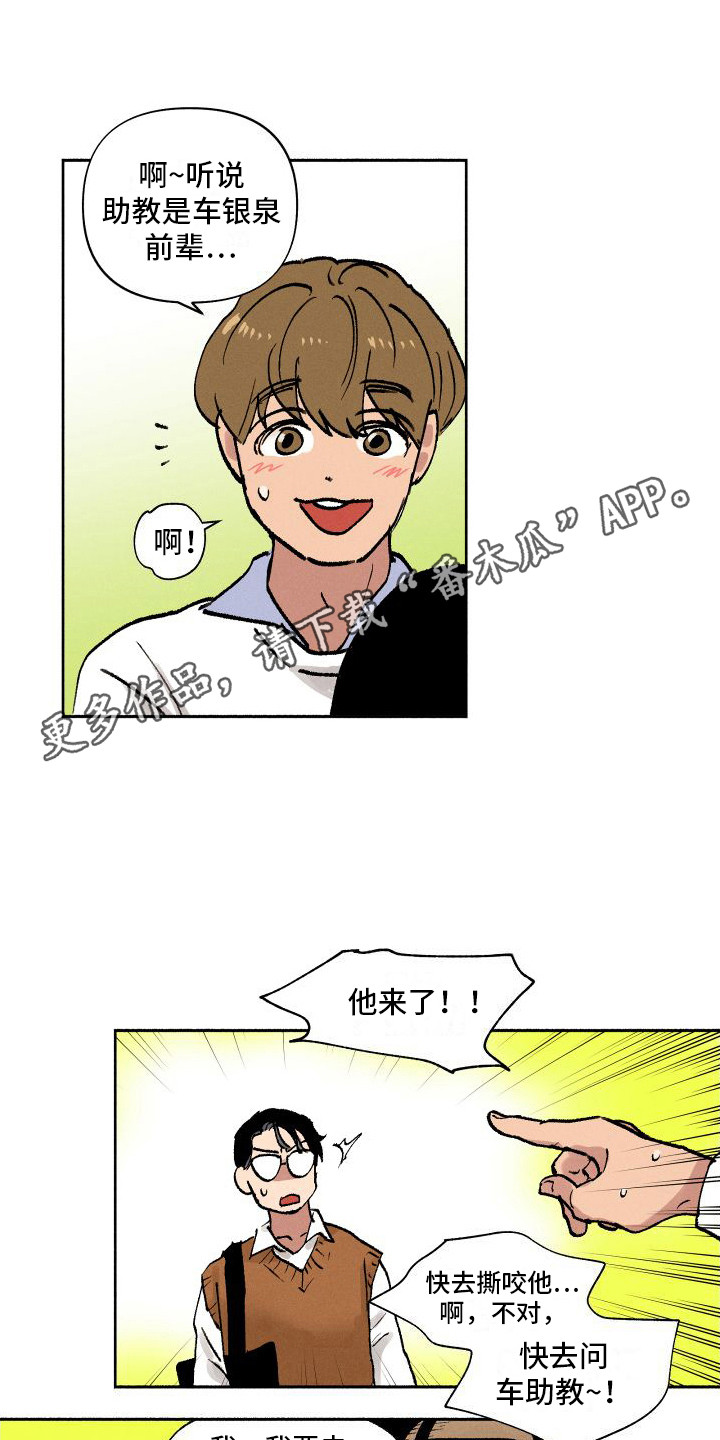 《社牛学弟》漫画最新章节第4章：又见面了免费下拉式在线观看章节第【11】张图片