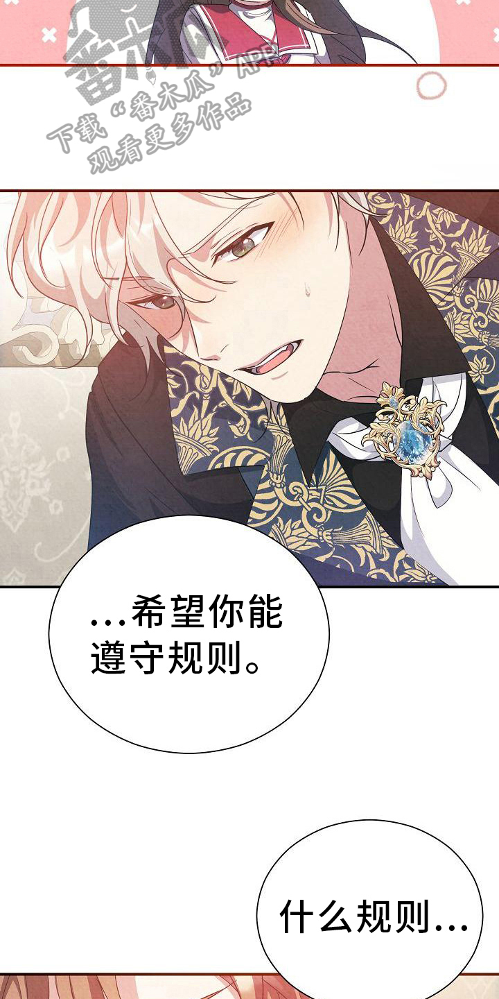 《铁墙夫人》漫画最新章节第17章：遵守规则免费下拉式在线观看章节第【13】张图片