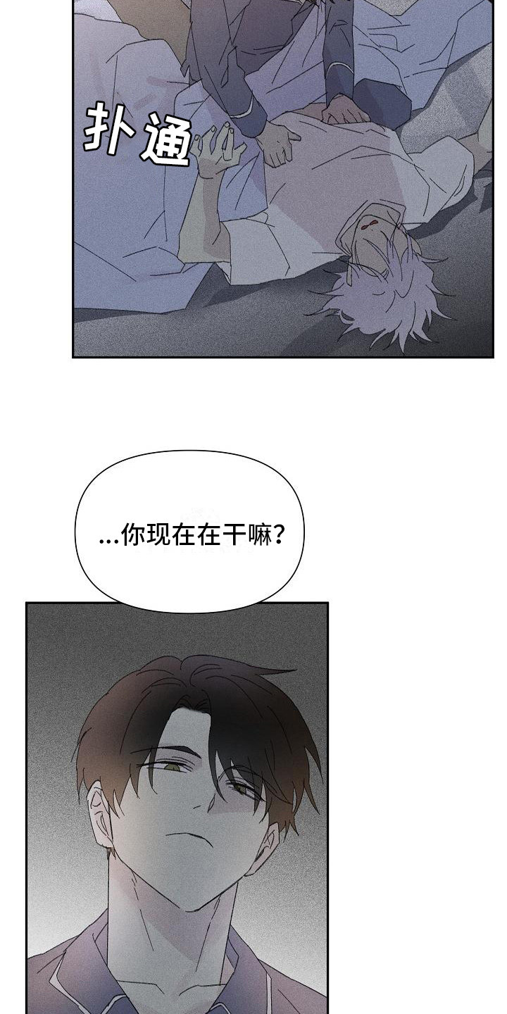 《失格乐园》漫画最新章节第26章：花木有情：失去兴趣免费下拉式在线观看章节第【20】张图片