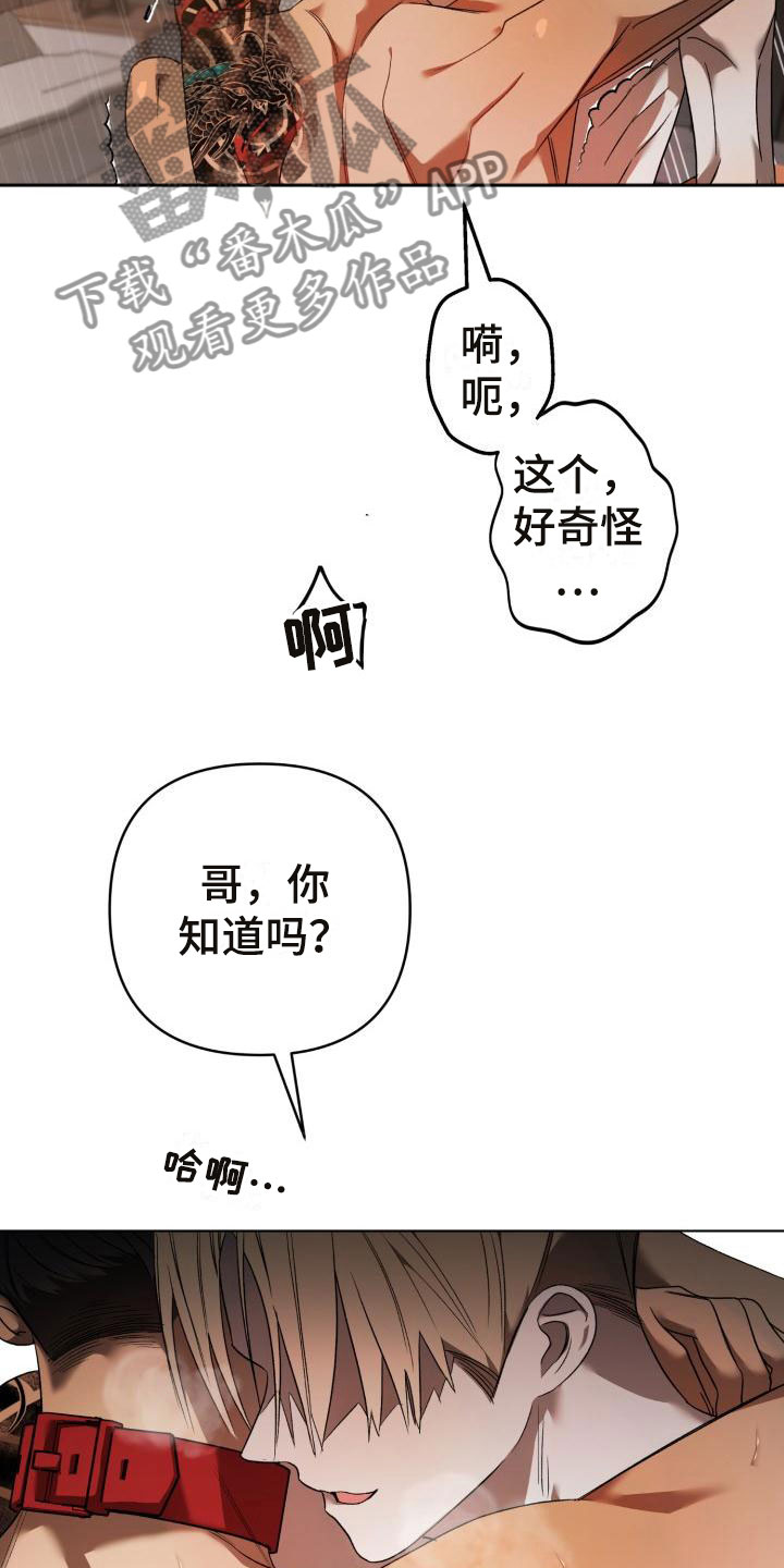 《失格乐园》漫画最新章节第12章：别惹我：不用伪装免费下拉式在线观看章节第【28】张图片