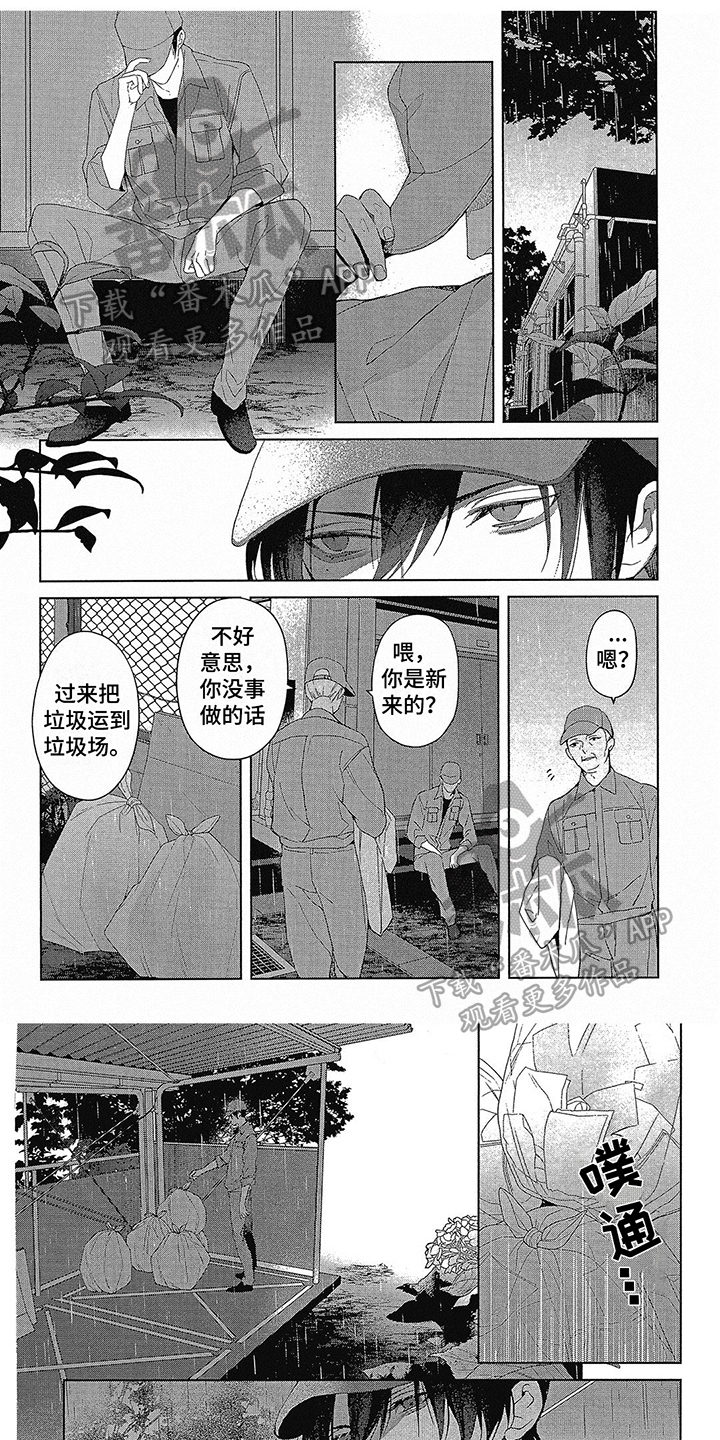 《蓝香》漫画最新章节第50章：有喜欢的人免费下拉式在线观看章节第【6】张图片