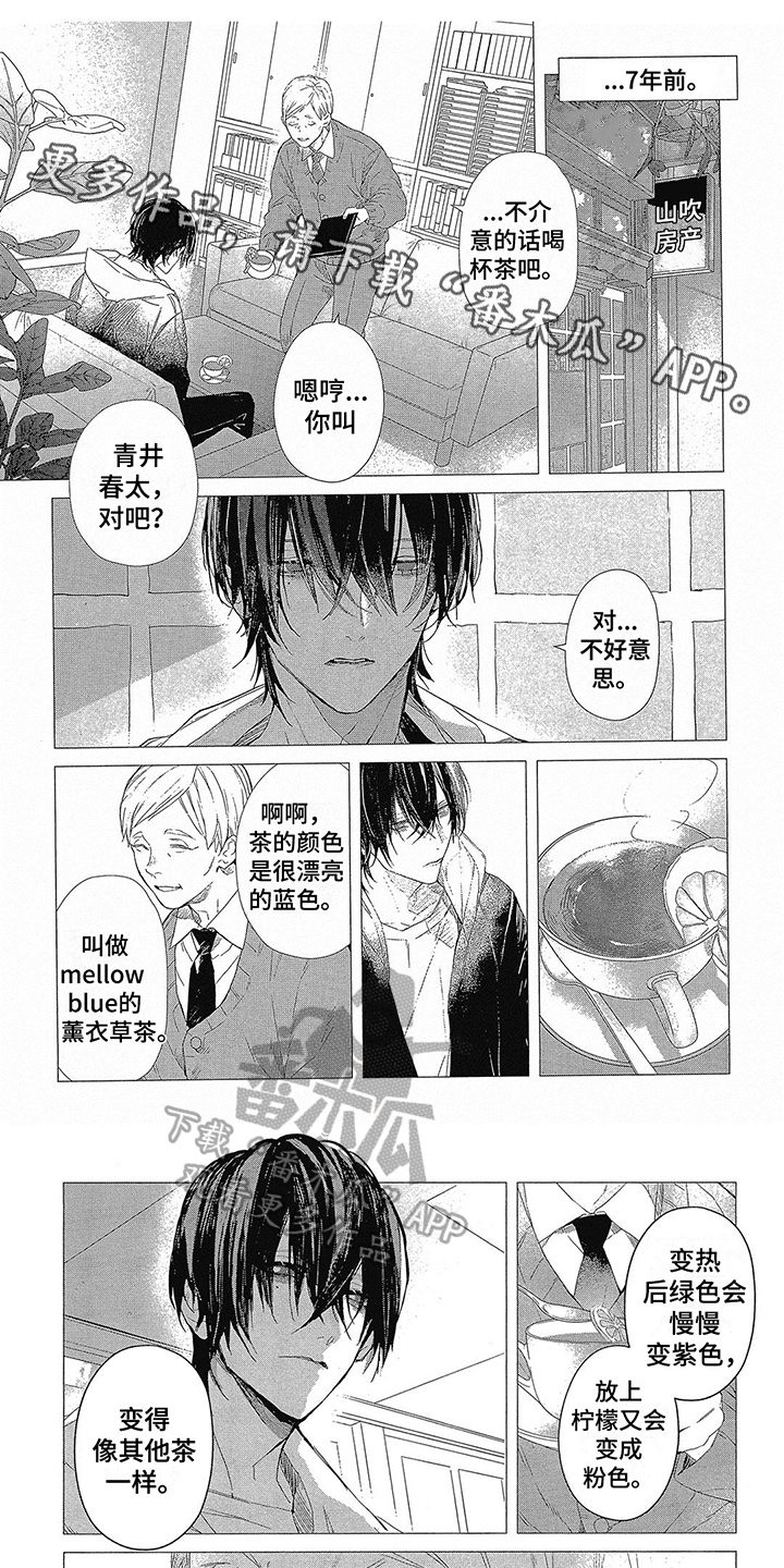 《蓝香》漫画最新章节第10章：可以看清免费下拉式在线观看章节第【5】张图片