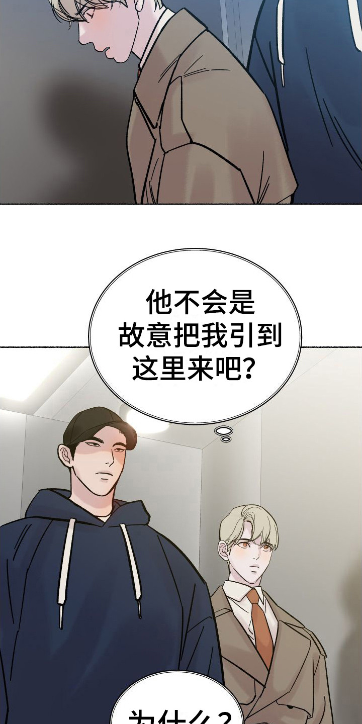 《深情合集》漫画最新章节第2章：电梯惊魂： 停电了免费下拉式在线观看章节第【10】张图片