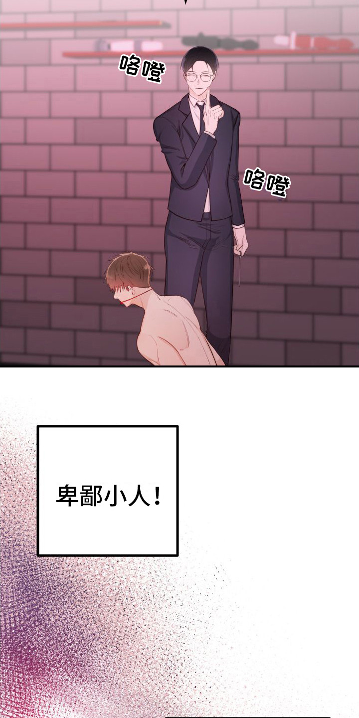 《深情合集》漫画最新章节第20章：另类直播：很熟练免费下拉式在线观看章节第【3】张图片