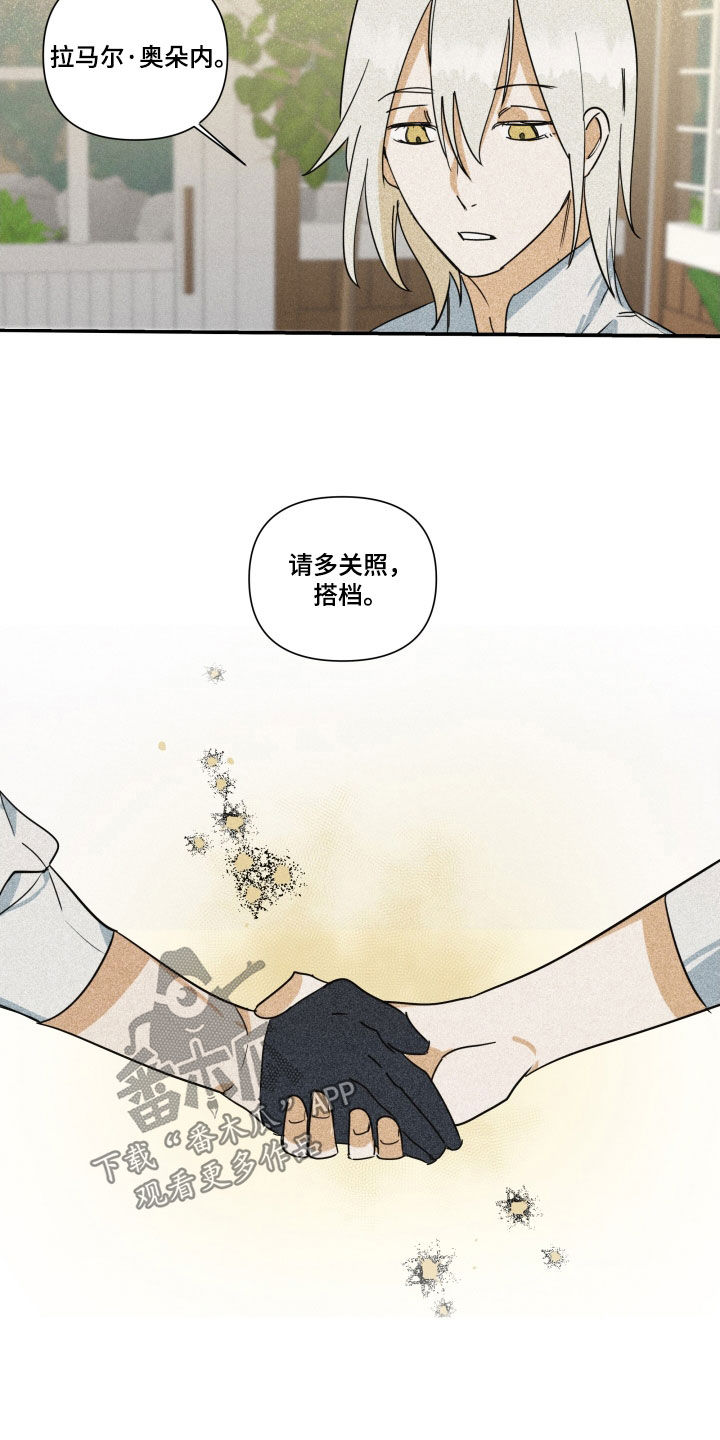 《深情合集》漫画最新章节第41章：【第二季】百年战争：搭档免费下拉式在线观看章节第【17】张图片