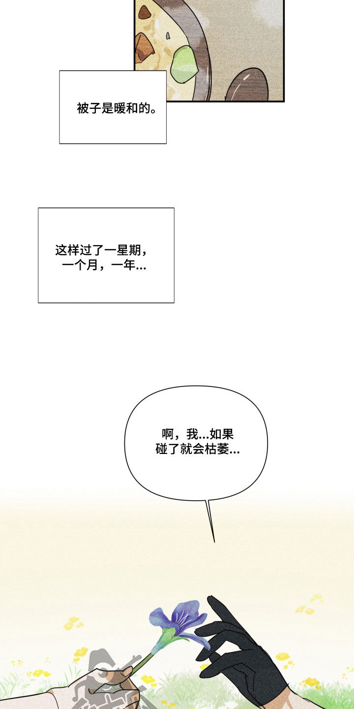 《深情合集》漫画最新章节第41章：【第二季】百年战争：搭档免费下拉式在线观看章节第【11】张图片