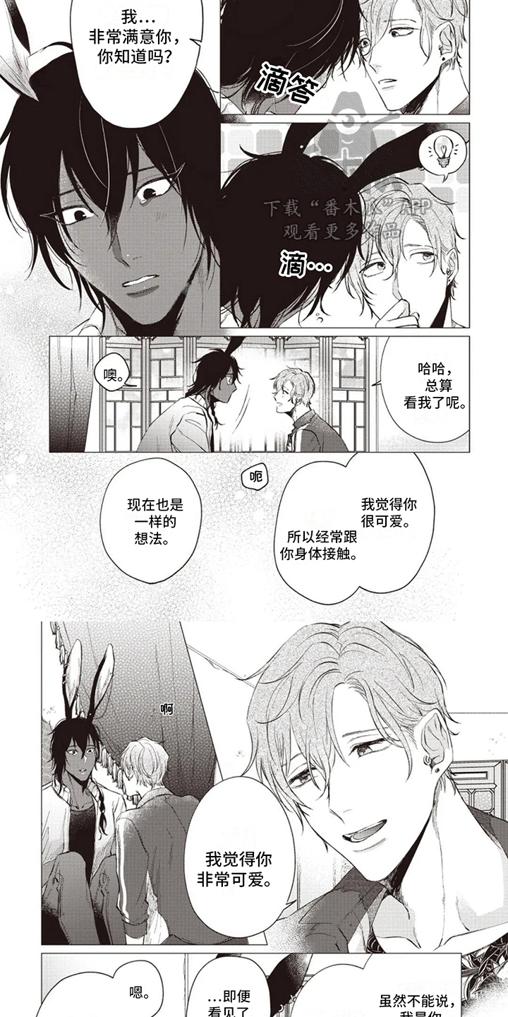 《抚摸你的柔软》漫画最新章节第5章：可爱免费下拉式在线观看章节第【3】张图片