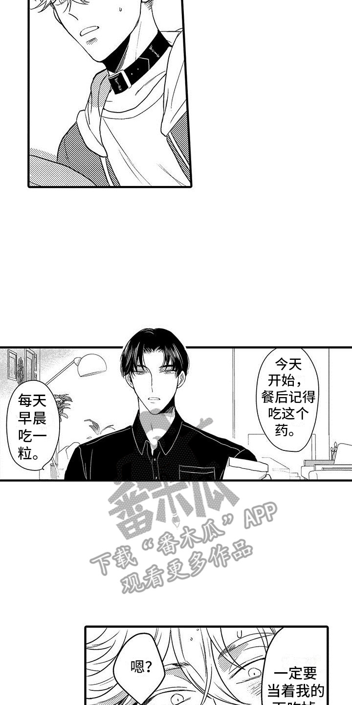 《欧米伽实验》漫画最新章节第17章：很积极免费下拉式在线观看章节第【10】张图片