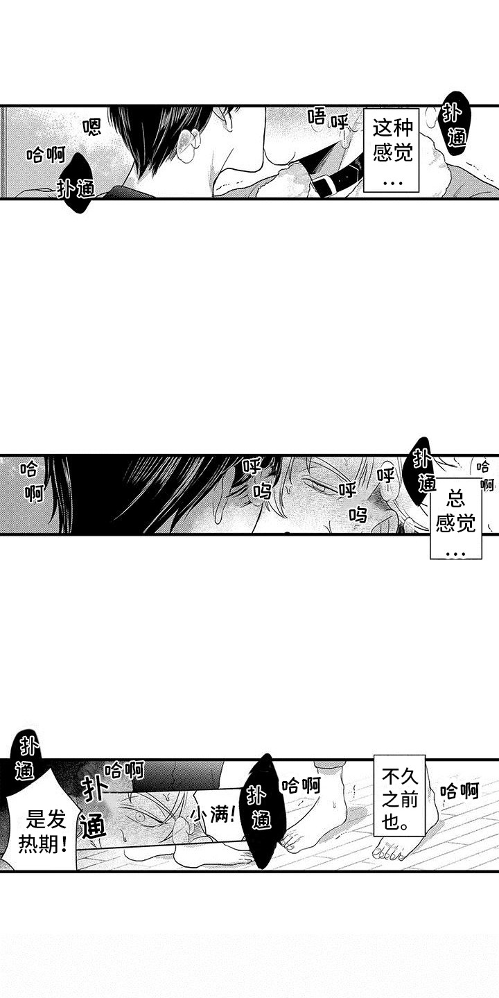 《欧米伽实验》漫画最新章节第28章：实验继续  免费下拉式在线观看章节第【12】张图片