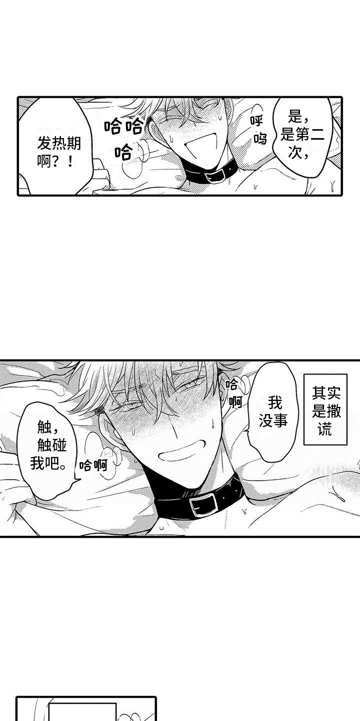 《欧米伽实验》漫画最新章节第29章：要疯了  免费下拉式在线观看章节第【11】张图片