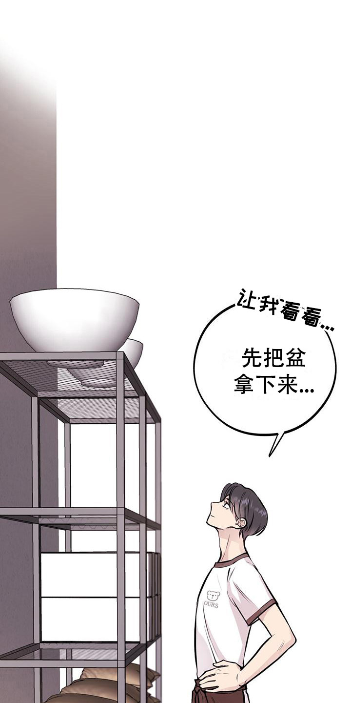 《蜂蜜熊》漫画最新章节第17章：很忙碌免费下拉式在线观看章节第【20】张图片