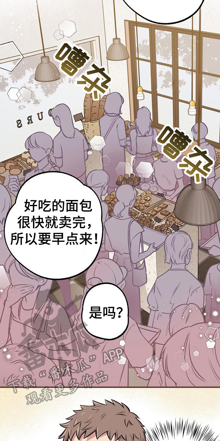 《蜂蜜熊》漫画最新章节第17章：很忙碌免费下拉式在线观看章节第【7】张图片