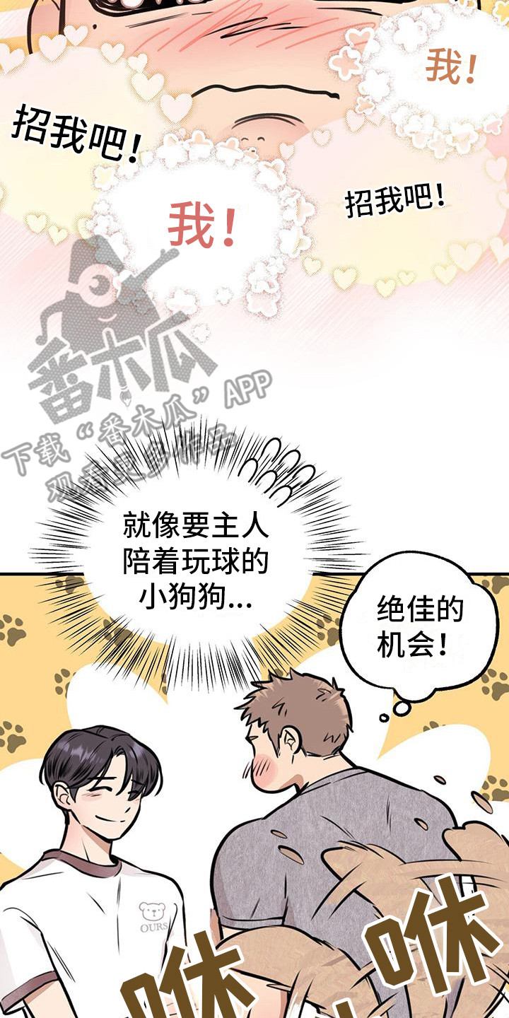 《蜂蜜熊》漫画最新章节第14章：看呆了免费下拉式在线观看章节第【2】张图片