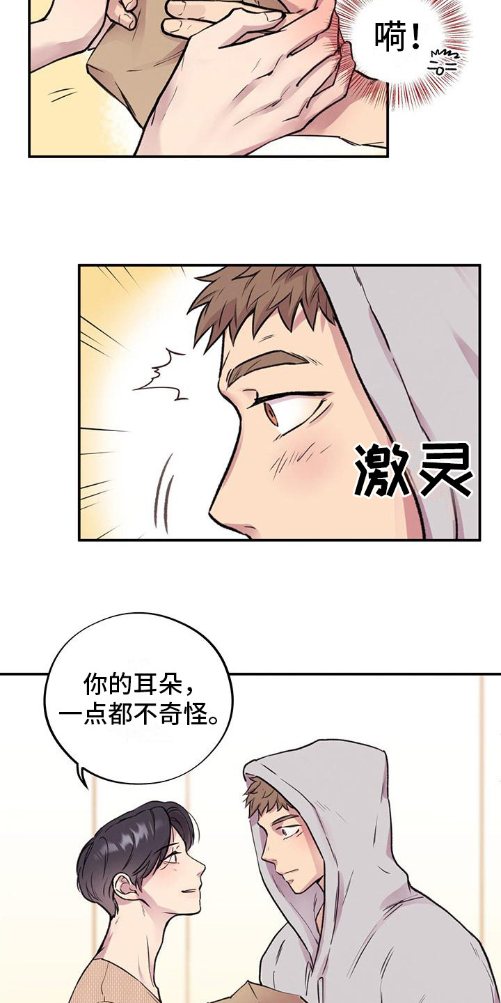 《蜂蜜熊》漫画最新章节第9章：心动免费下拉式在线观看章节第【15】张图片