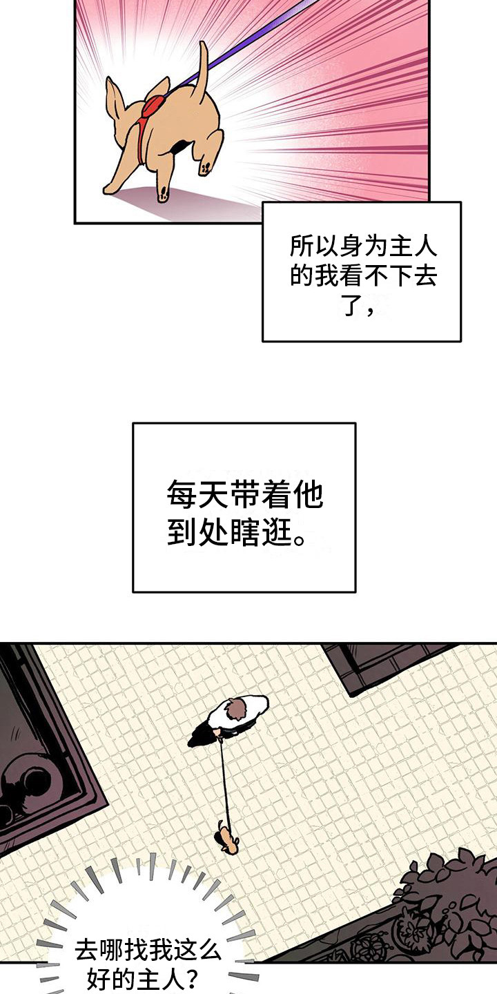 《蜂蜜熊》漫画最新章节第1章：铲屎官免费下拉式在线观看章节第【9】张图片