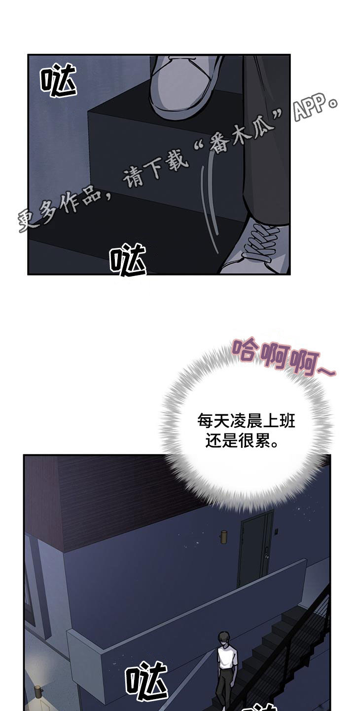 《蜂蜜熊》漫画最新章节第29章：恋爱秘籍免费下拉式在线观看章节第【31】张图片