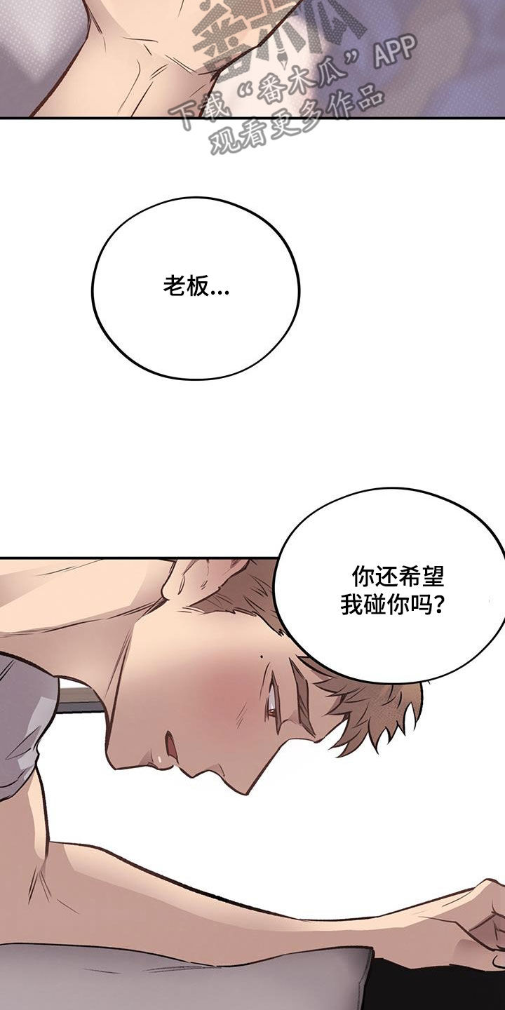 《蜂蜜熊》漫画最新章节第38章：三个优点免费下拉式在线观看章节第【5】张图片