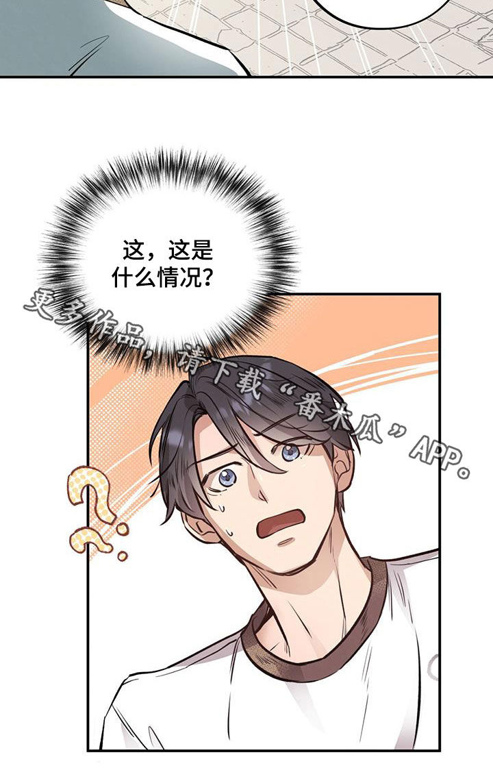 《蜂蜜熊》漫画最新章节第39章：什么情况免费下拉式在线观看章节第【1】张图片