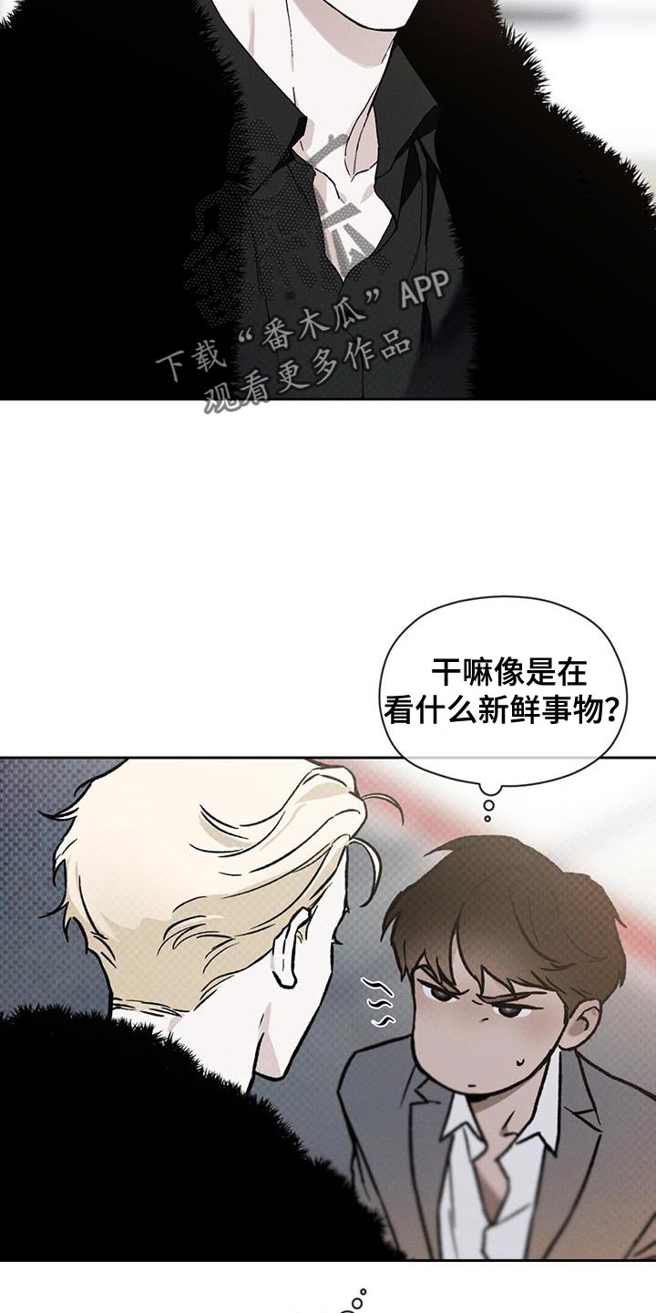 《凶险任务》漫画最新章节第27章：土洞免费下拉式在线观看章节第【11】张图片