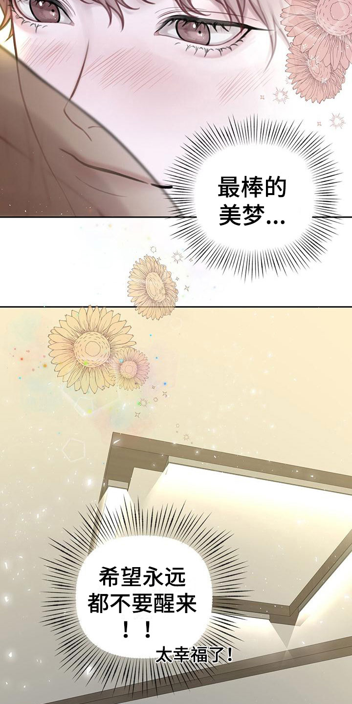 《霸总的秘密教学》漫画最新章节第3章：最棒的梦免费下拉式在线观看章节第【2】张图片