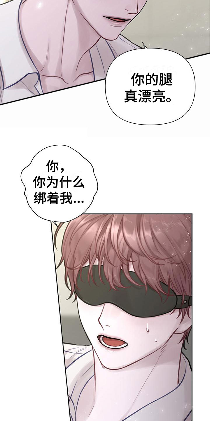 《霸总的秘密教学》漫画最新章节第3章：最棒的梦免费下拉式在线观看章节第【27】张图片