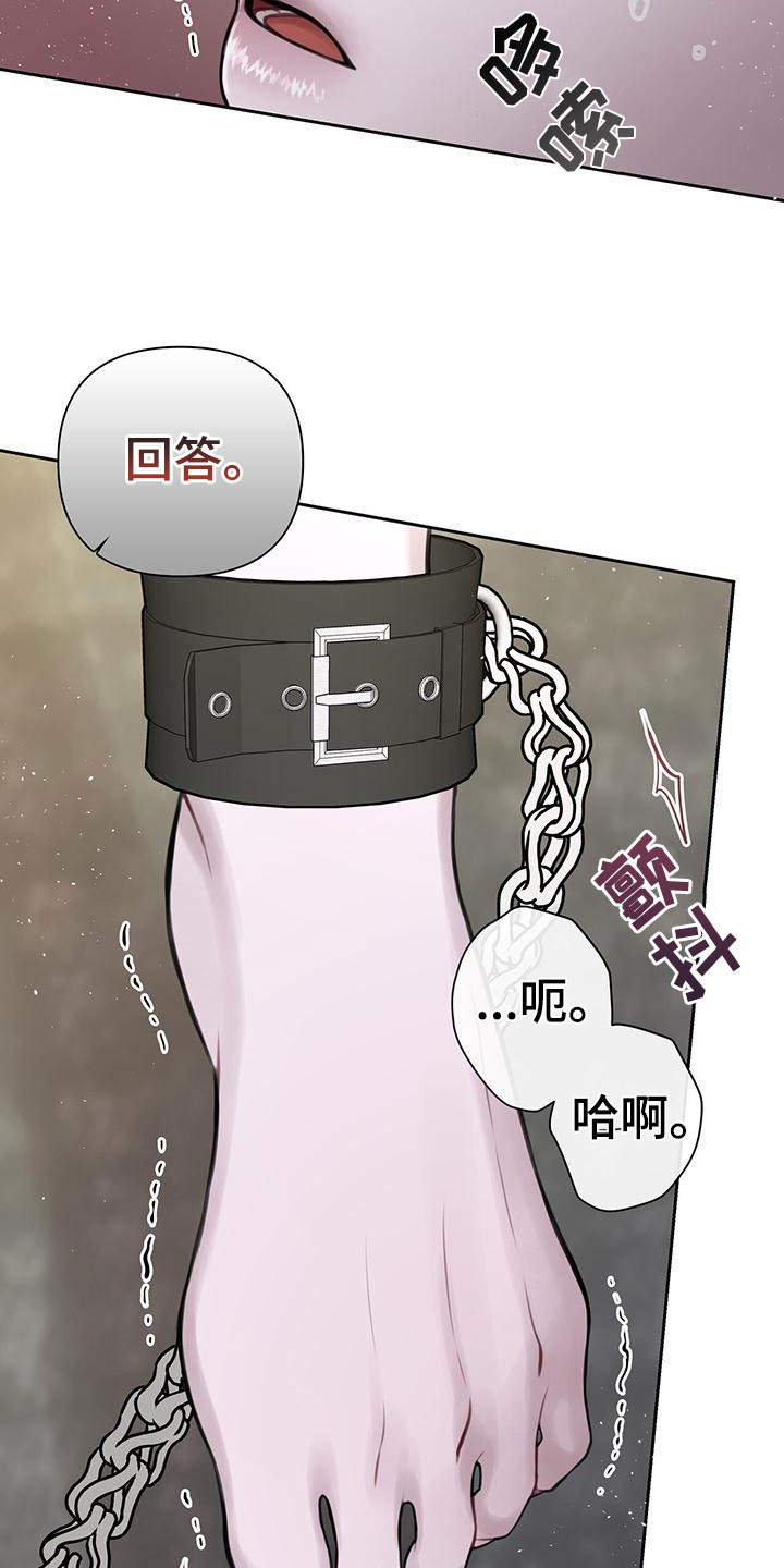 《霸总的秘密教学》漫画最新章节第3章：最棒的梦免费下拉式在线观看章节第【16】张图片