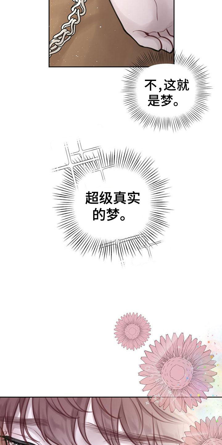 《霸总的秘密教学》漫画最新章节第3章：最棒的梦免费下拉式在线观看章节第【3】张图片