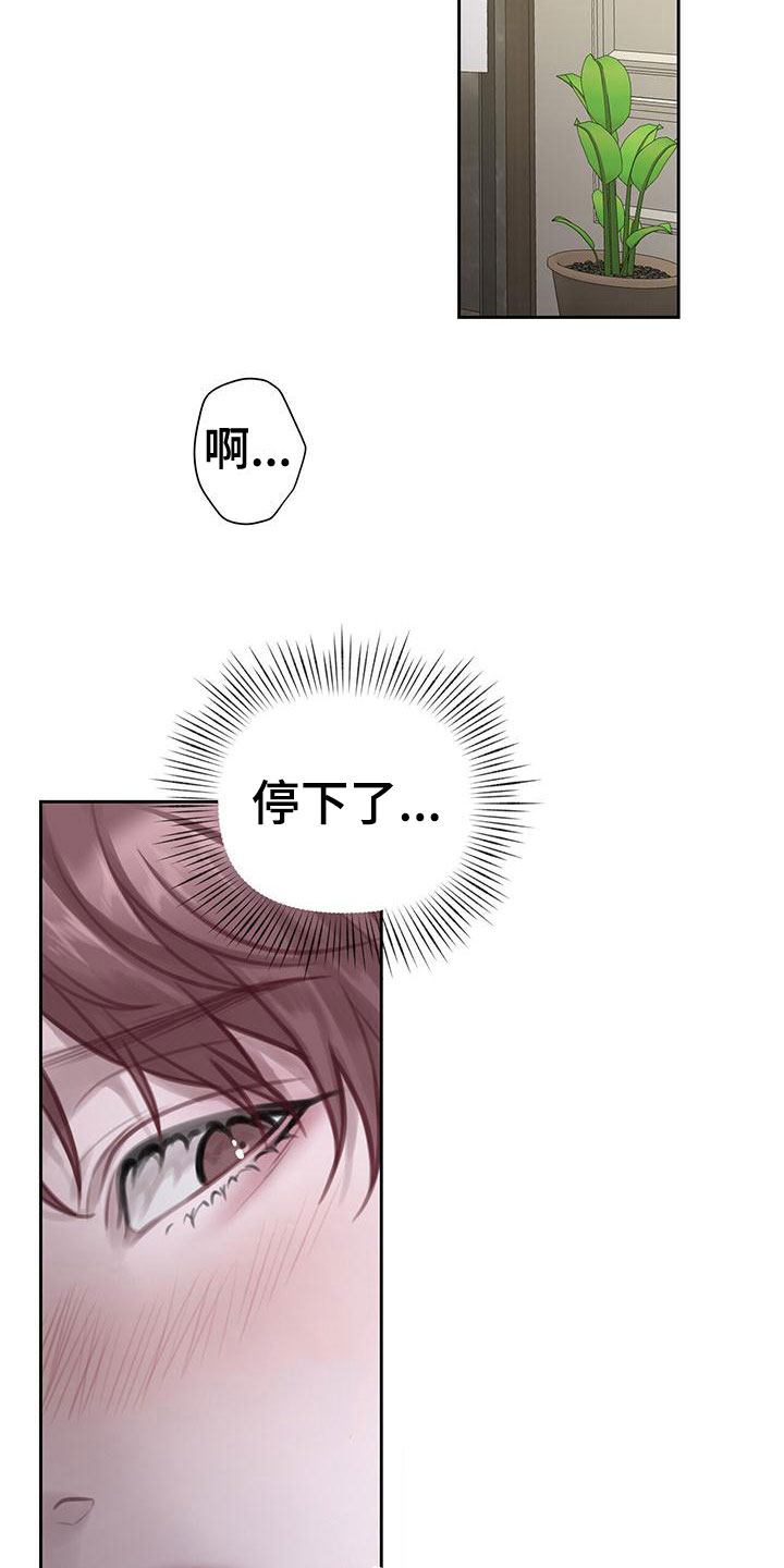 《霸总的秘密教学》漫画最新章节第5章：不是梦免费下拉式在线观看章节第【15】张图片