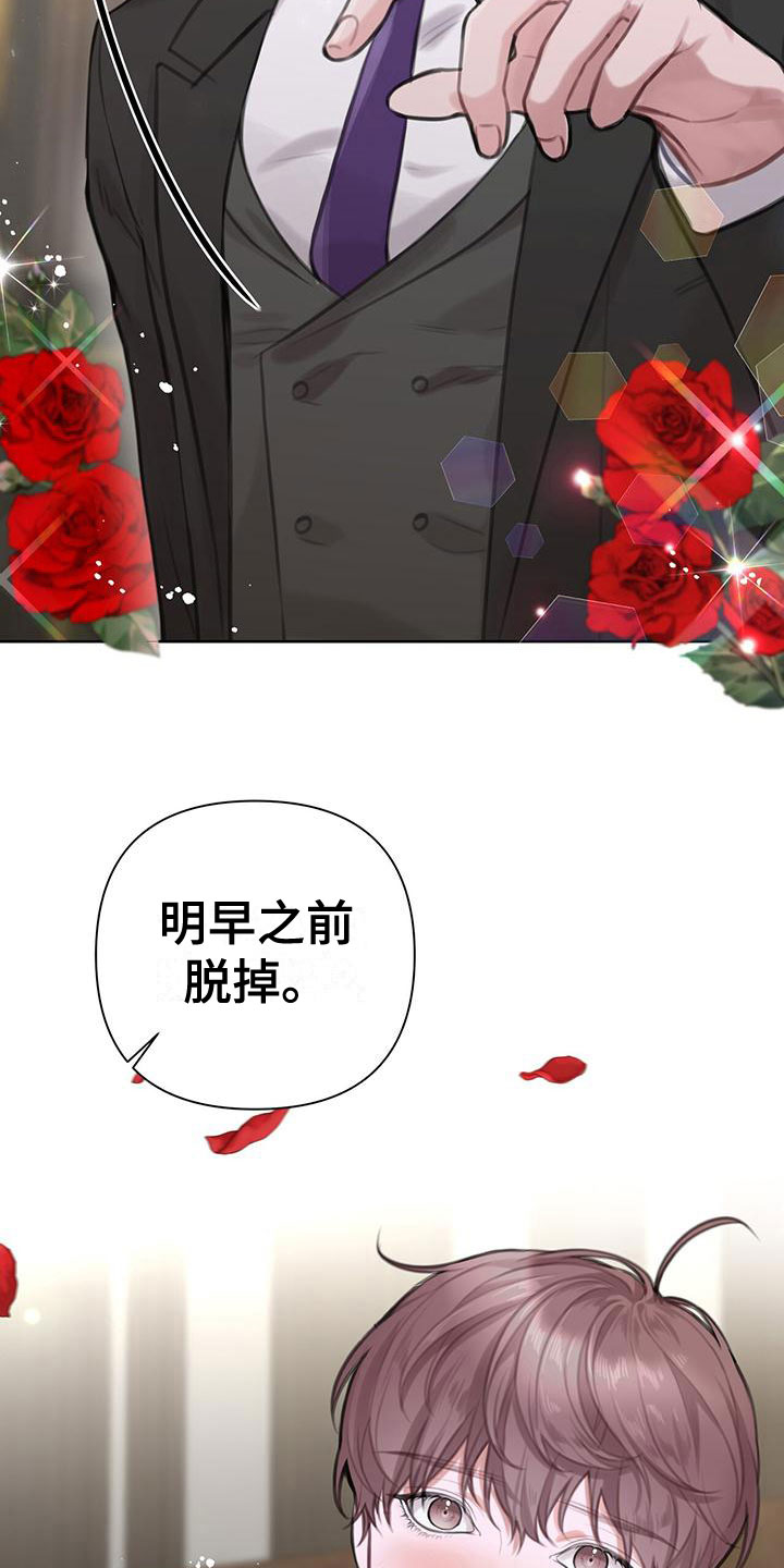 《霸总的秘密教学》漫画最新章节第8章：初吻免费下拉式在线观看章节第【5】张图片