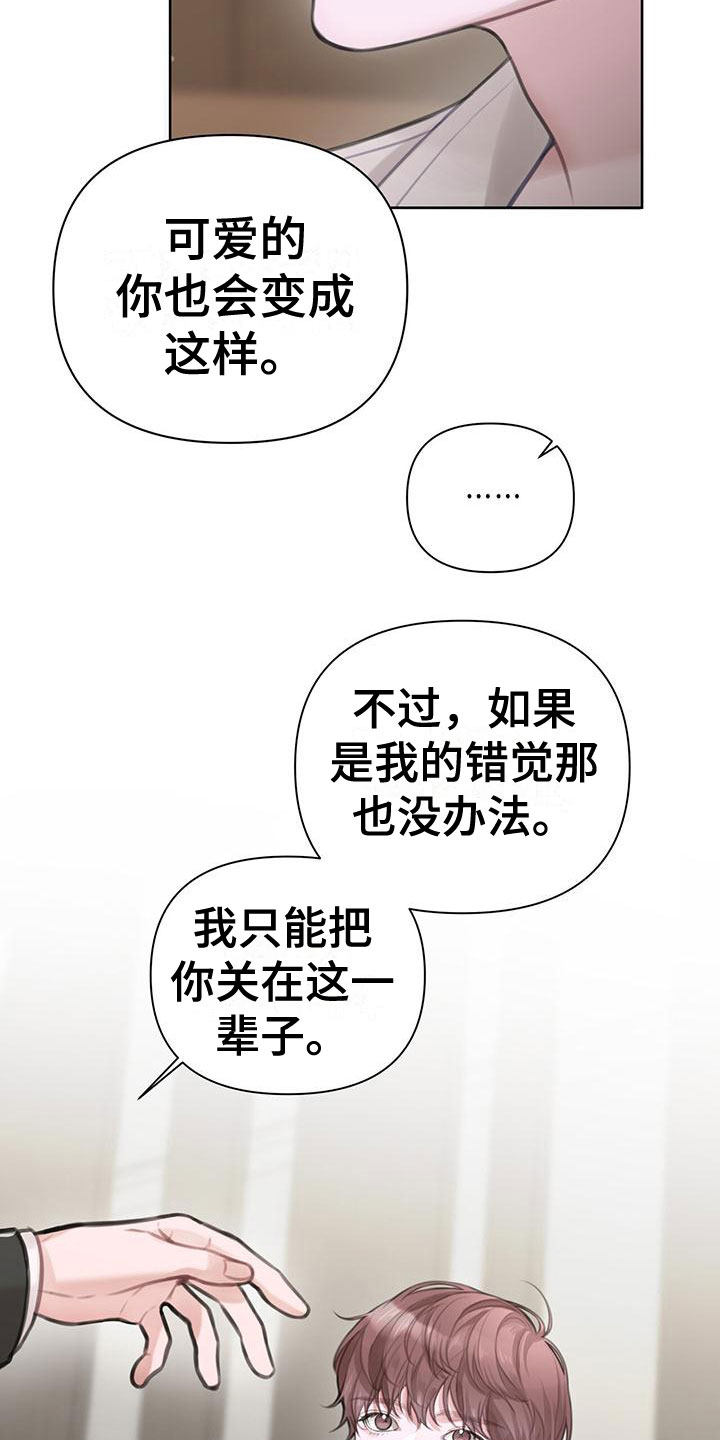 《霸总的秘密教学》漫画最新章节第8章：初吻免费下拉式在线观看章节第【21】张图片