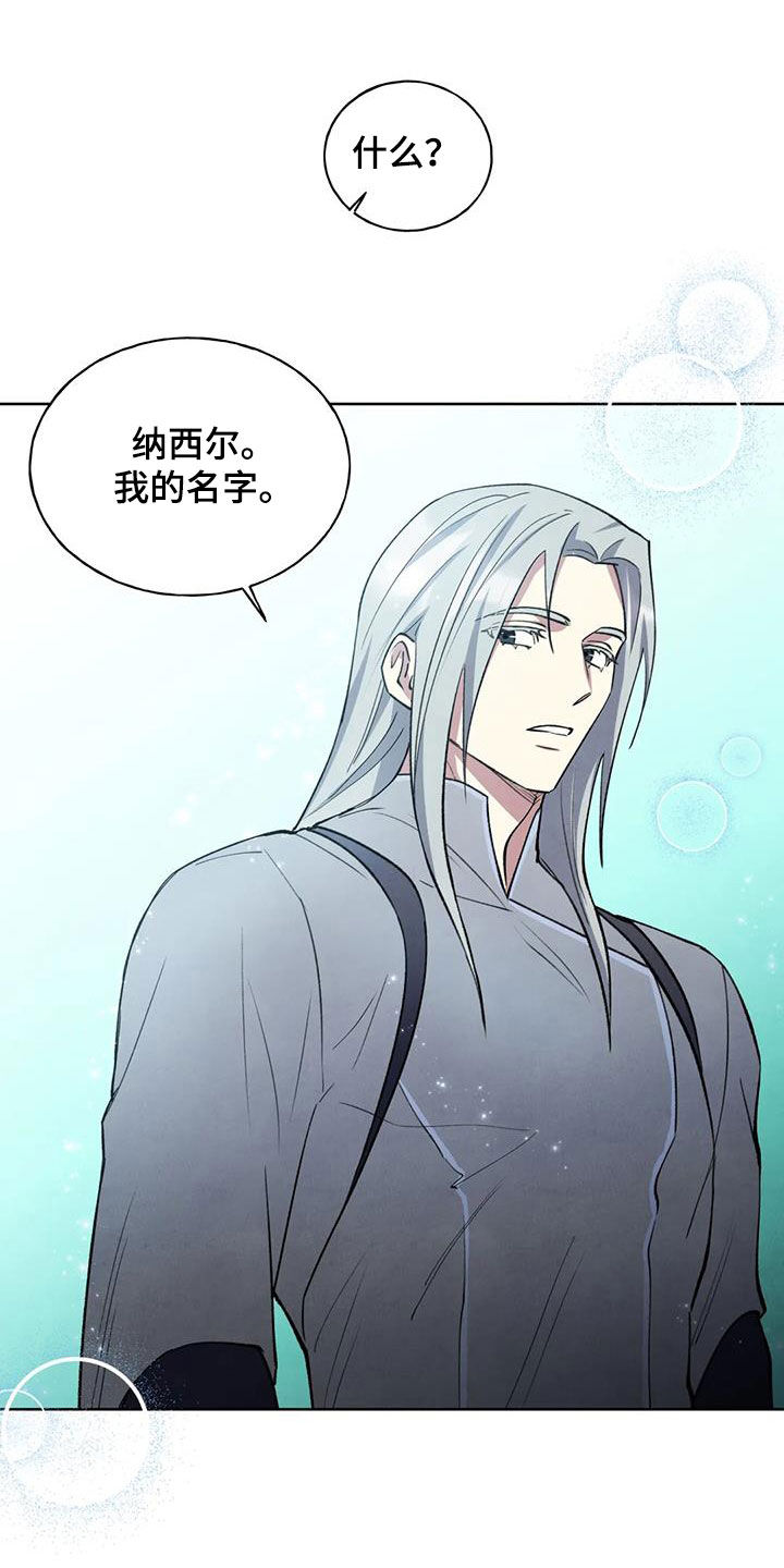 《秘密契约》漫画最新章节第16章：名字免费下拉式在线观看章节第【14】张图片