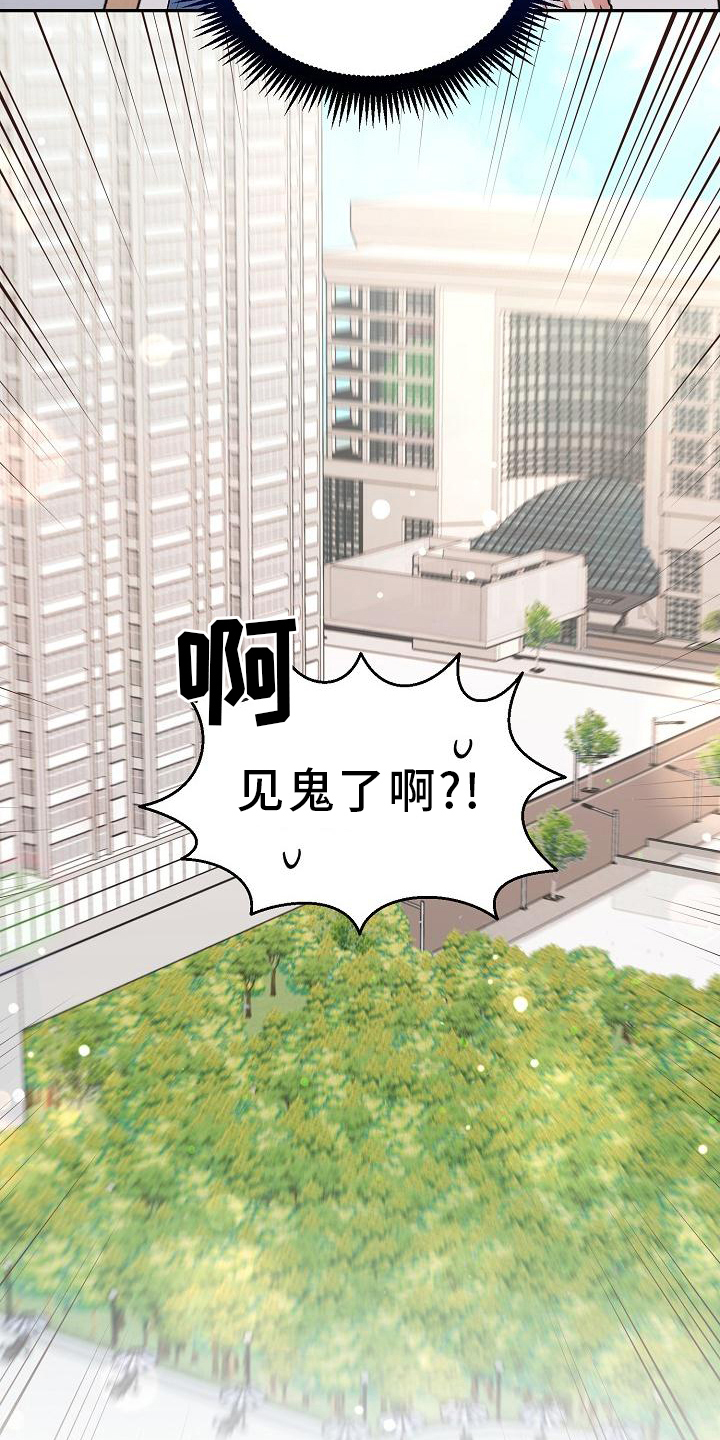 《仙女来袭》漫画最新章节第6章：管理员免费下拉式在线观看章节第【20】张图片