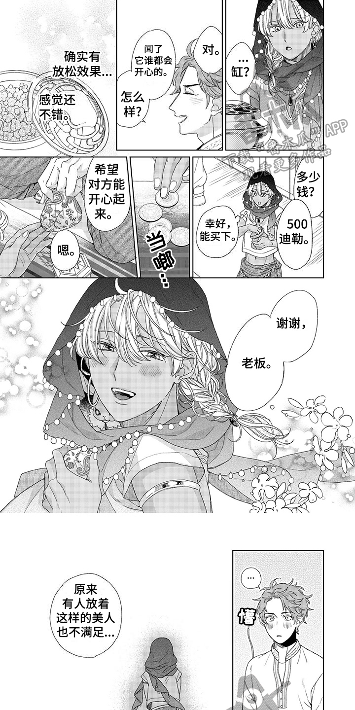 《离家出走的新娘》漫画最新章节第12章：故事免费下拉式在线观看章节第【6】张图片