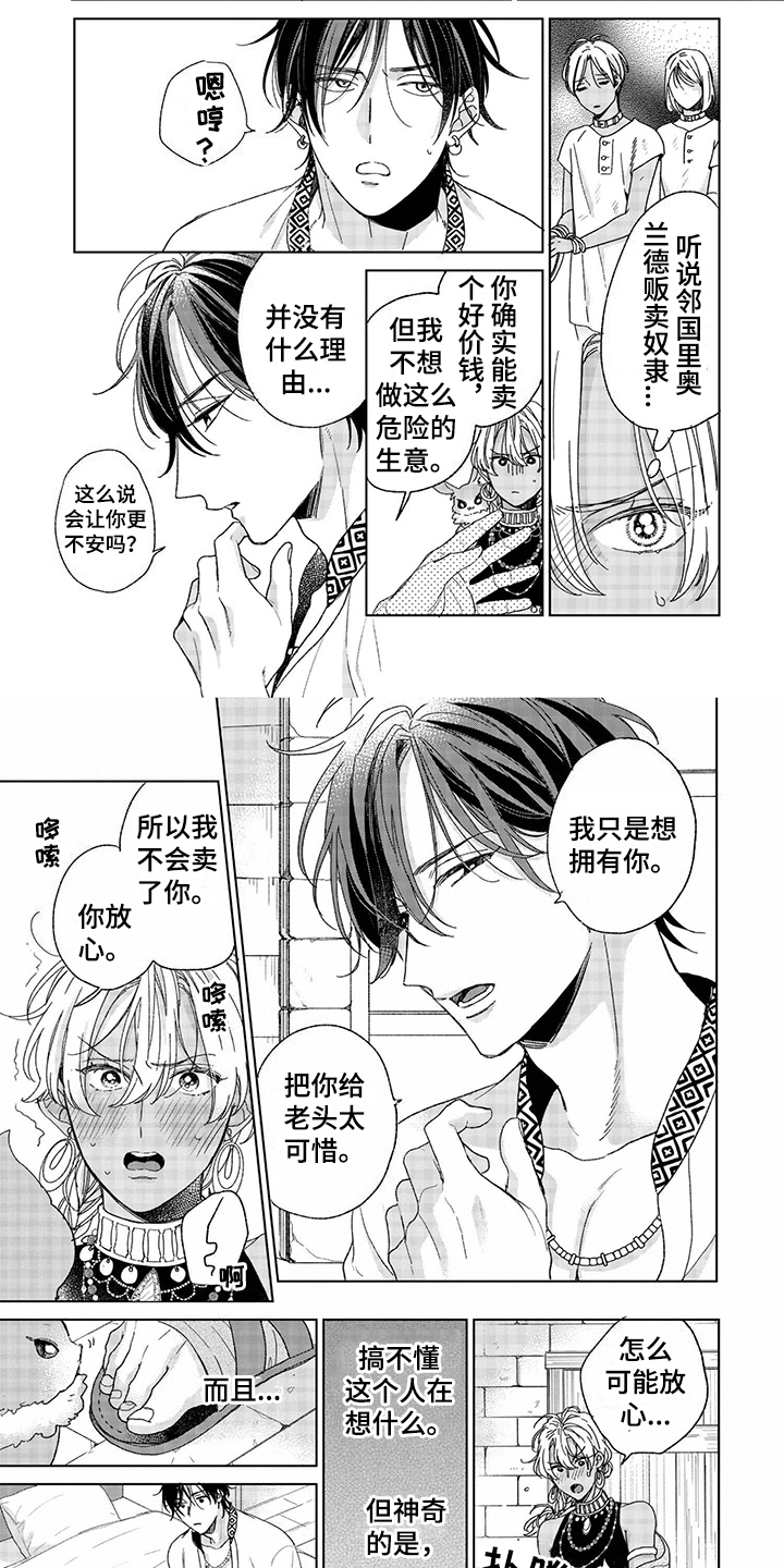 《离家出走的新娘》漫画最新章节第3章：请求免费下拉式在线观看章节第【5】张图片