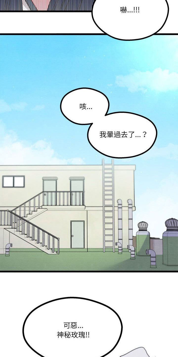 《他与她的秘密》漫画最新章节第10章： 晕过去免费下拉式在线观看章节第【5】张图片