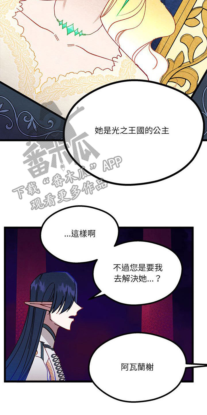 《他与她的秘密》漫画最新章节第11章：重婚危机免费下拉式在线观看章节第【5】张图片