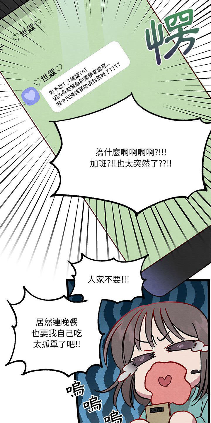 《他与她的秘密》漫画最新章节第11章：重婚危机免费下拉式在线观看章节第【16】张图片