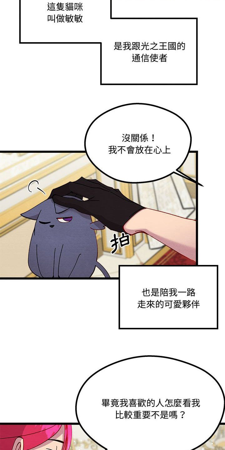 《他与她的秘密》漫画最新章节第14章：光之国公主免费下拉式在线观看章节第【12】张图片