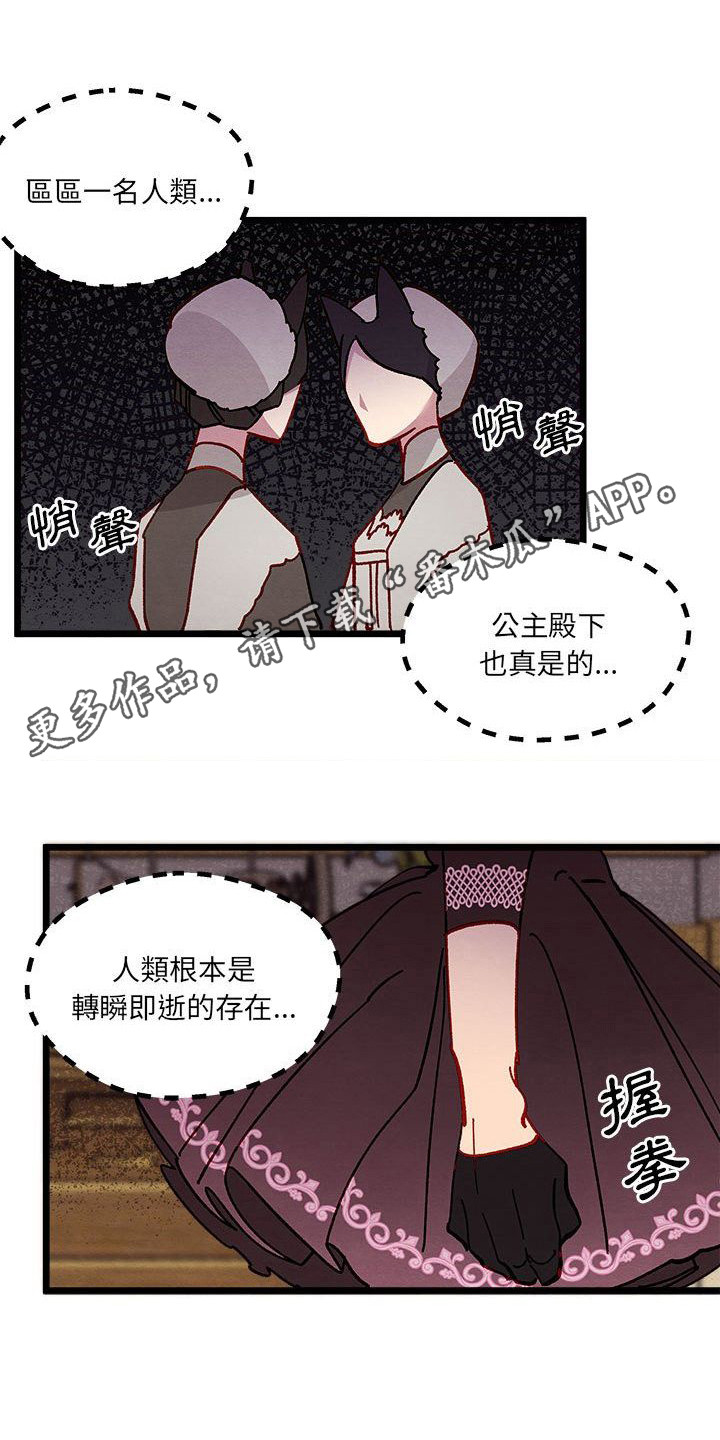 《他与她的秘密》漫画最新章节第14章：光之国公主免费下拉式在线观看章节第【14】张图片