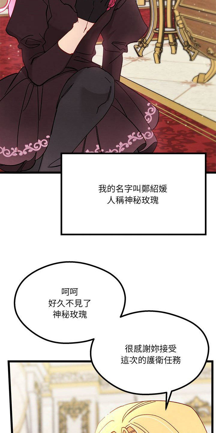 《他与她的秘密》漫画最新章节第14章：光之国公主免费下拉式在线观看章节第【18】张图片