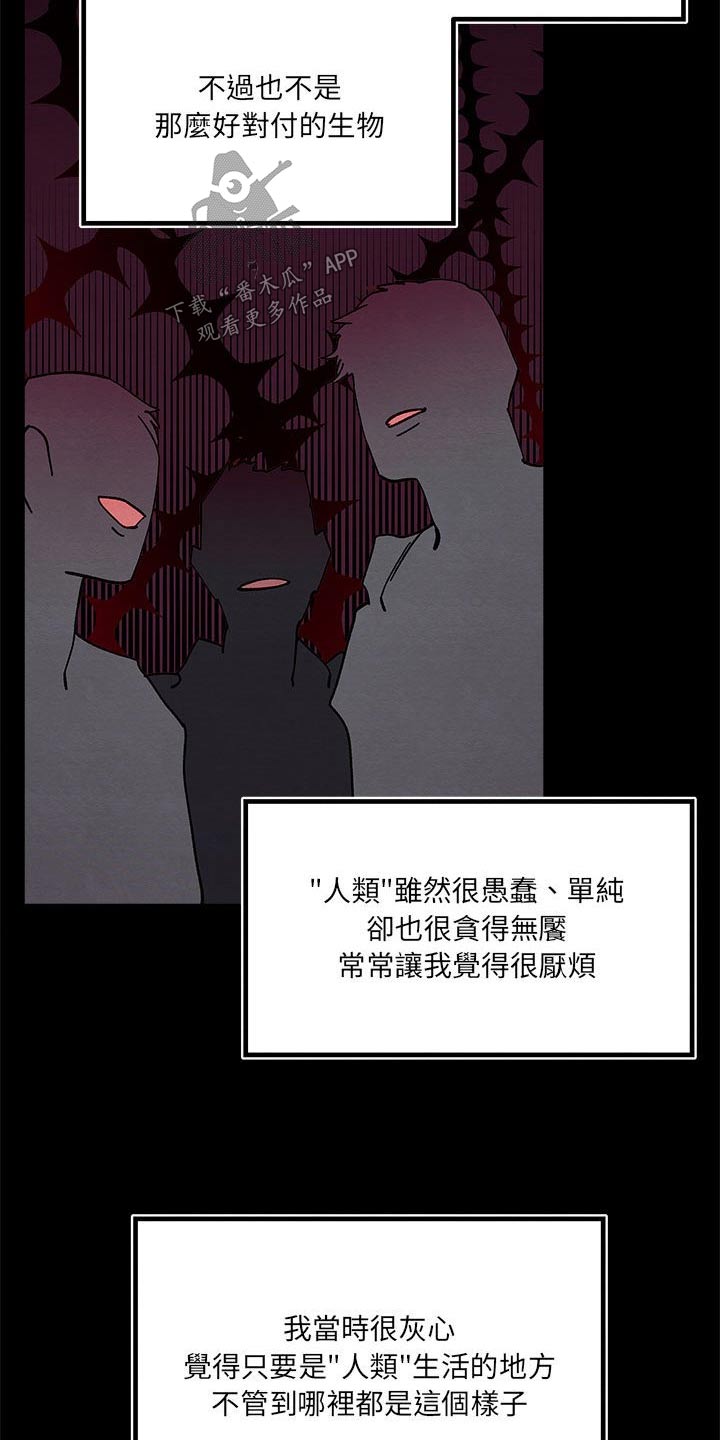 《他与她的秘密》漫画最新章节第19章：愤怒免费下拉式在线观看章节第【18】张图片