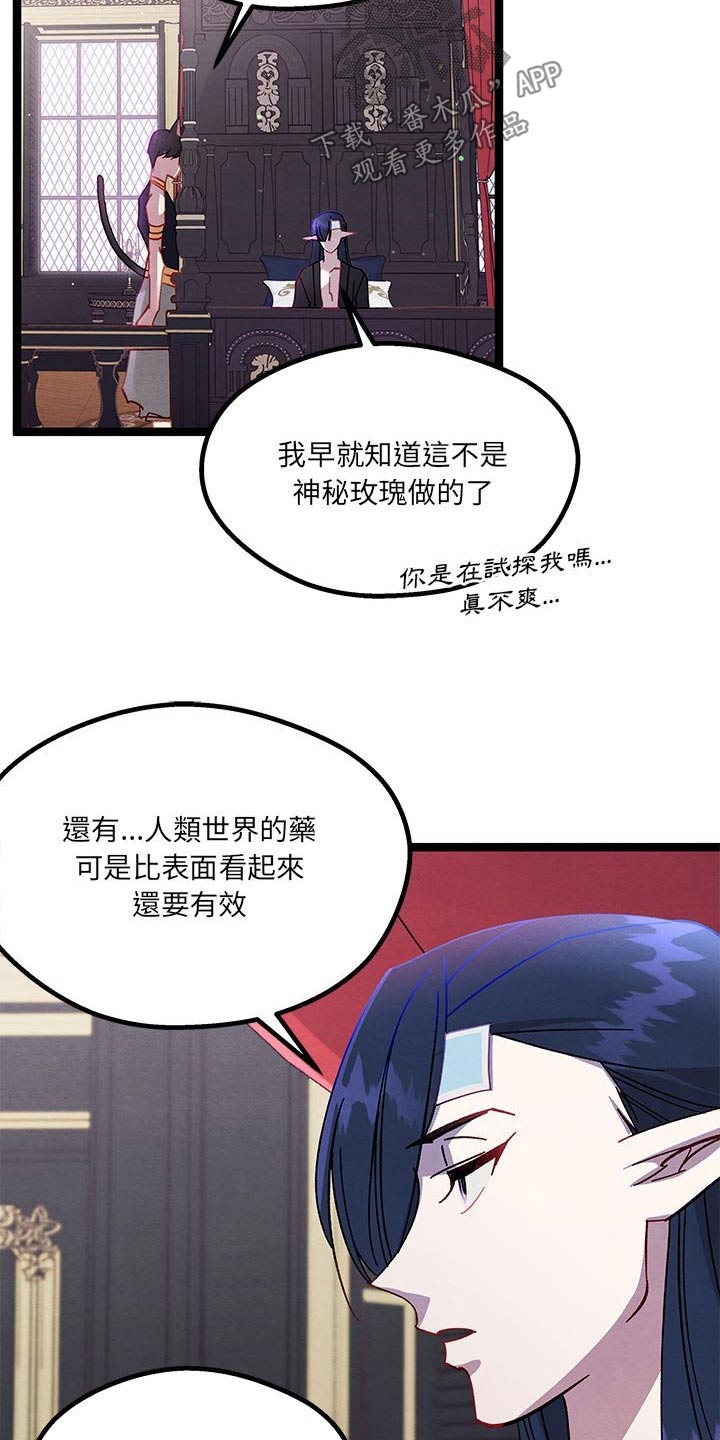 《他与她的秘密》漫画最新章节第32章：决定了免费下拉式在线观看章节第【20】张图片