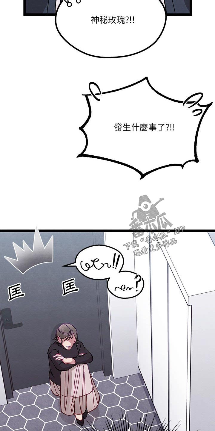 《他与她的秘密》漫画最新章节第33章：理解我免费下拉式在线观看章节第【17】张图片