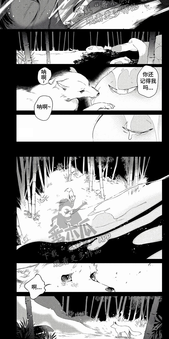 《我的恋情》漫画最新章节第13章：失败免费下拉式在线观看章节第【5】张图片