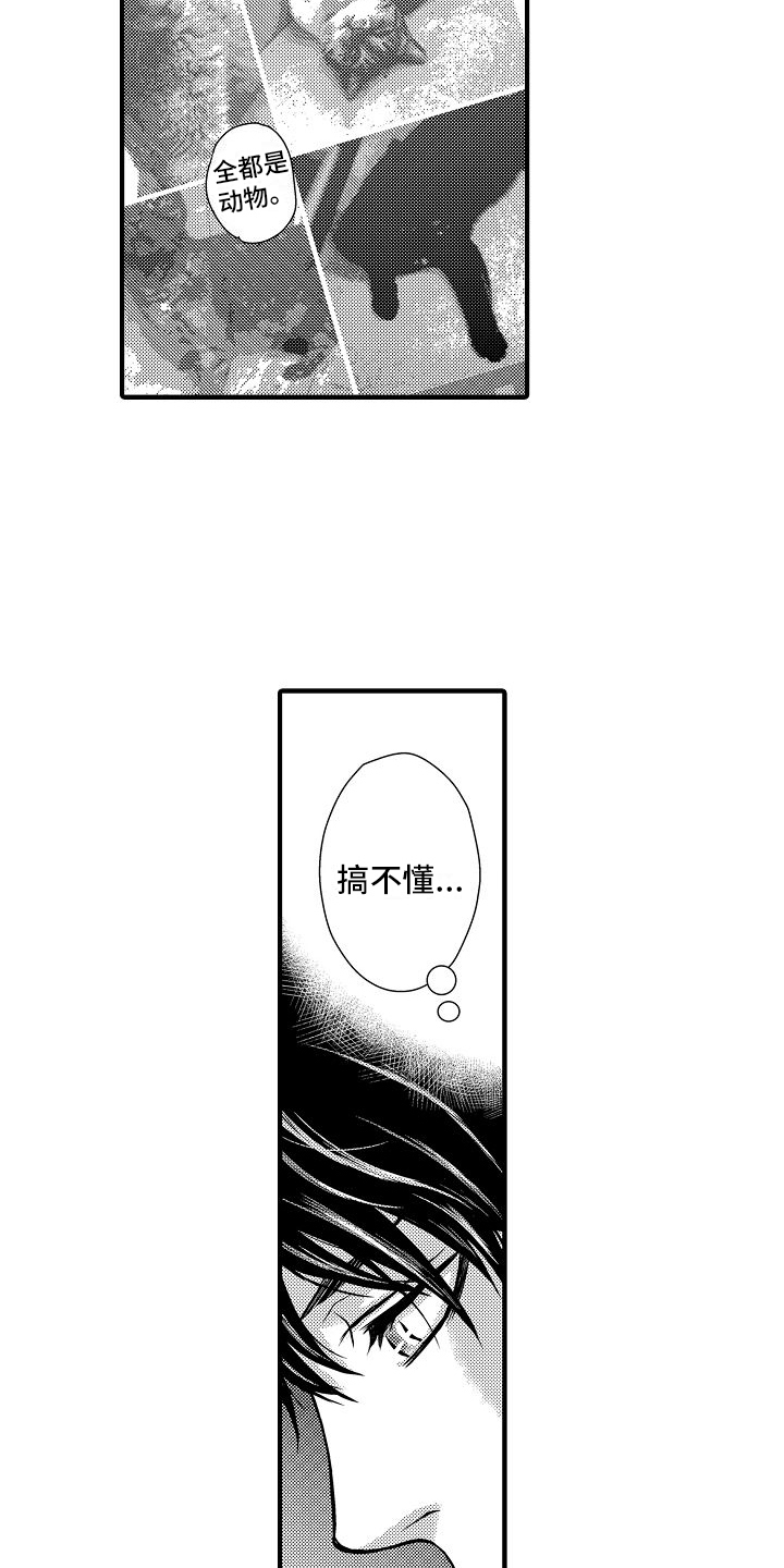 《爱上我吧大侦探》漫画最新章节第6章：调查免费下拉式在线观看章节第【11】张图片