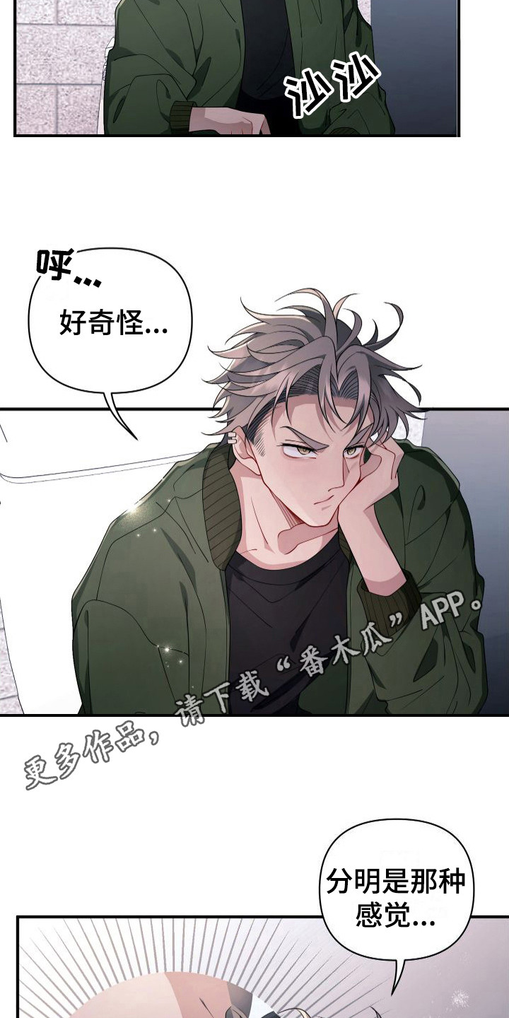 《危险印记》漫画最新章节第20章：错觉  免费下拉式在线观看章节第【13】张图片