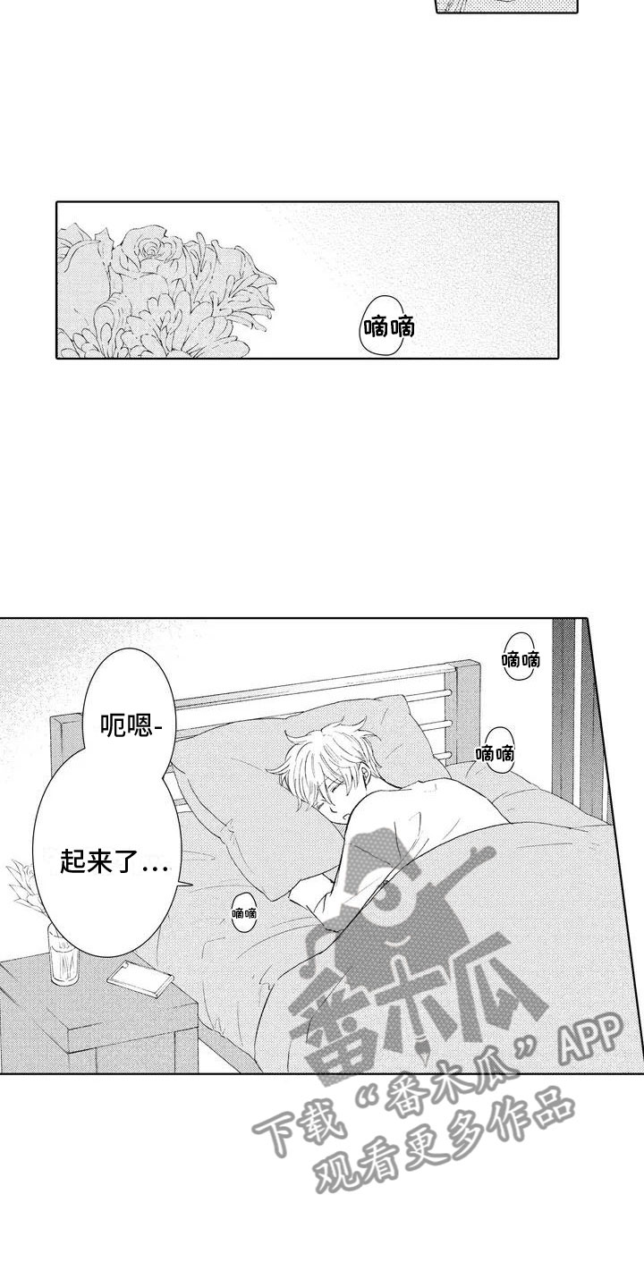 《爱如夏花》漫画最新章节第4章：不是梦免费下拉式在线观看章节第【8】张图片