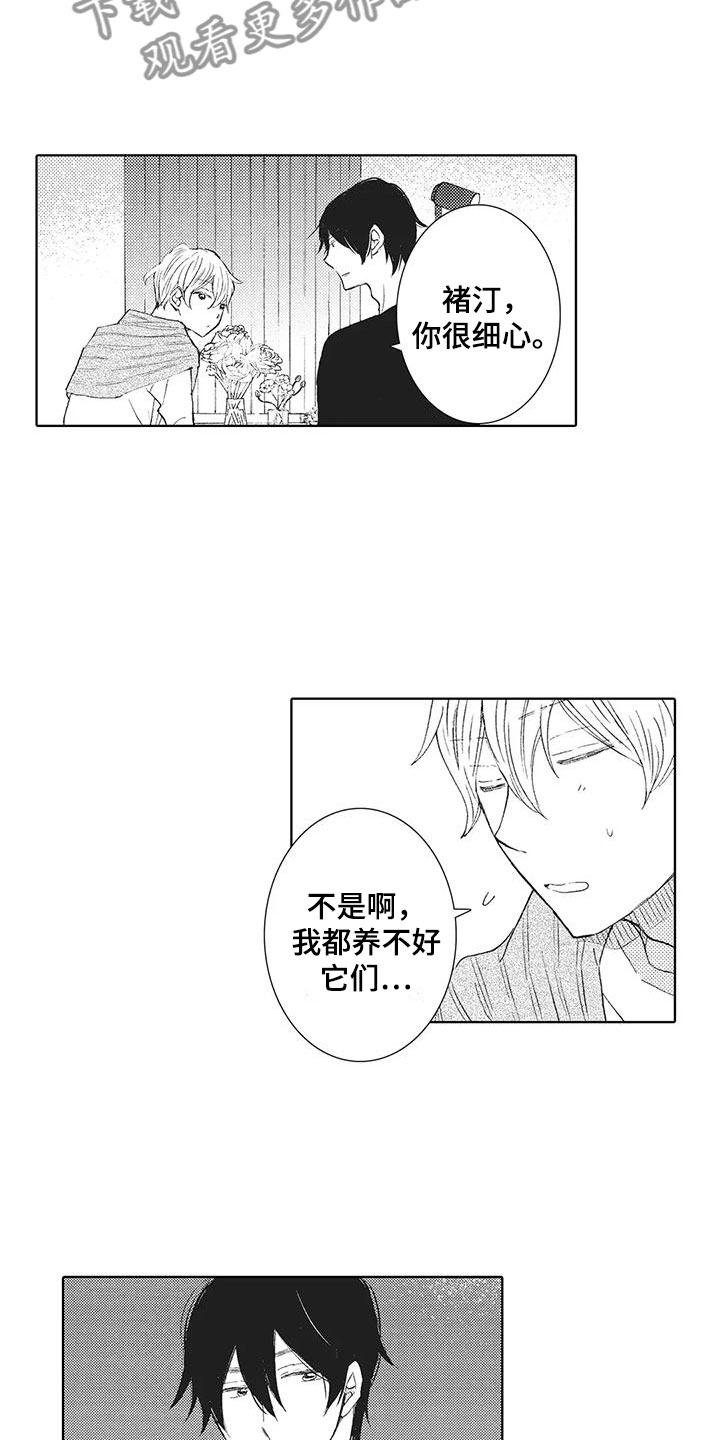 《爱如夏花》漫画最新章节第9章：真可爱免费下拉式在线观看章节第【14】张图片